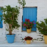 a group of potted plants sitting next to a building