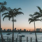 silhouette of palm trees near body of water during sunset